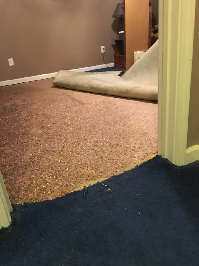 Carpet pad removal revealing water damage during Water Mitigation Services in Evansville