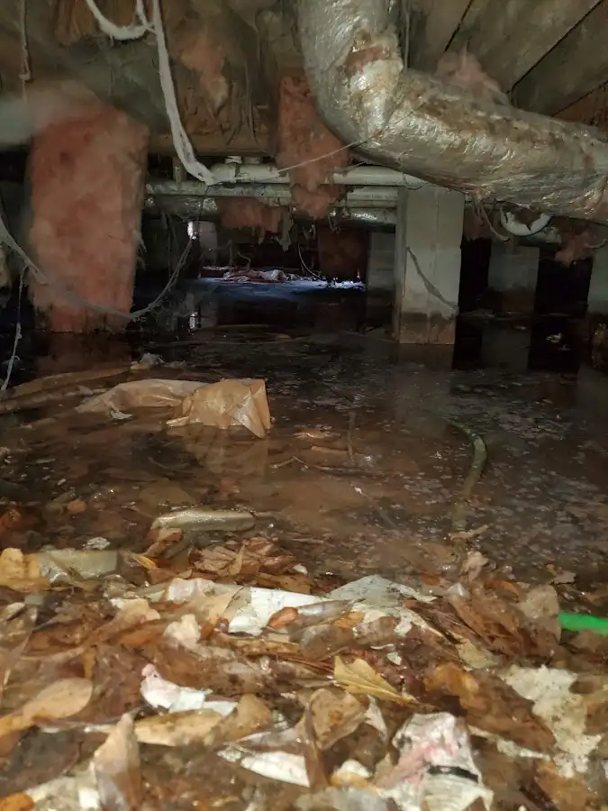 Crawl space flood assessment for Commercial Water Damage Restoration in Evansville